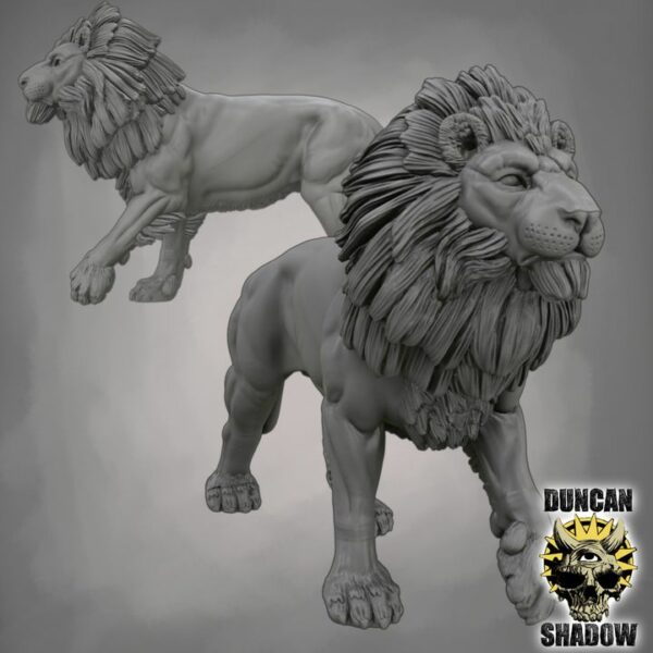 Lion