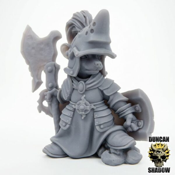 Racoon Folk Hero